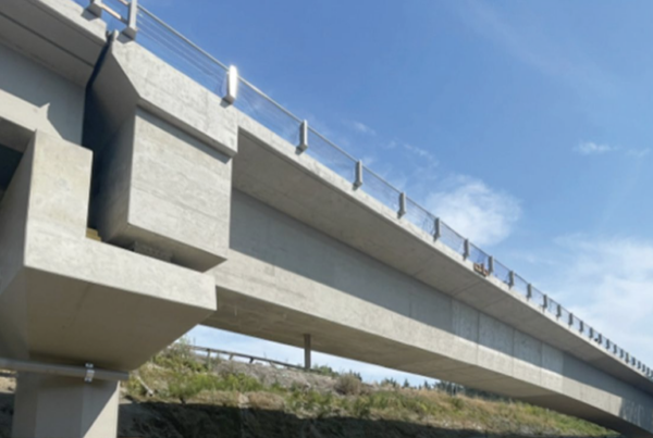 bridge with bearings and columns