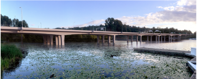 bridge needing bearing replacement